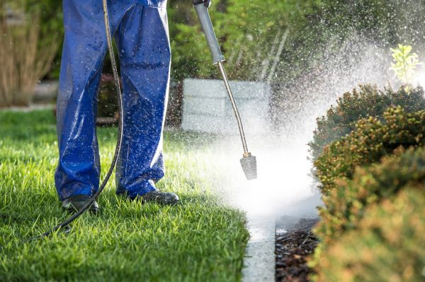 Curb Cleaning in Lawrence