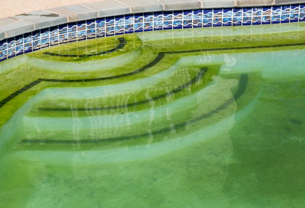 Pool Deck Algae Removal in Lawrence
