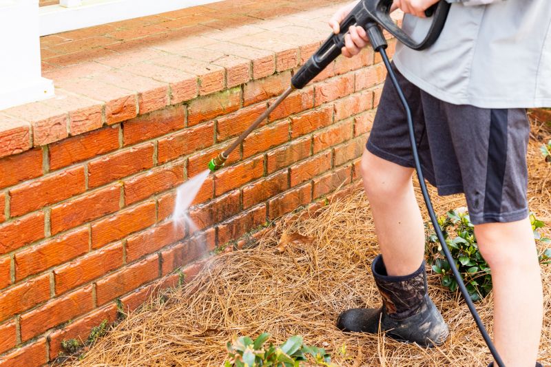 Brick Walkway Cleaning